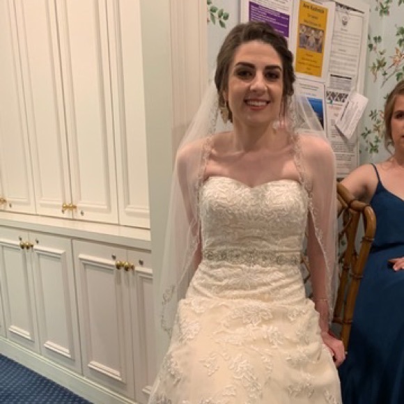 DAVID’S BRIDAL | Veil - Picture 5 of 8